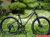 Naujas 27 Unibike Move S raudonas