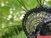 Naujas 27 Unibike Move S raudonas - nuotraukos Nr. 3