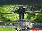 Naujas 27 Unibike Move S raudonas - nuotraukos Nr. 10