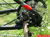 Naujas 27 Unibike Move S raudonas - nuotraukos Nr. 12