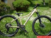 Naujas 27 Unibike S šampaninis