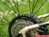 Naujas 29 Unibike Move šampaninis S - nuotraukos Nr. 3
