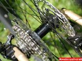 Naujas 29 Unibike Move šampaninis S - nuotraukos Nr. 10