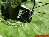 Naujas 29 Unibike Move šampaninis S - nuotraukos Nr. 11