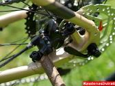 Naujas 29 Unibike Move šampaninis S - nuotraukos Nr. 12