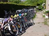 Naujas 29 Unibike Move šampaninis S - nuotraukos Nr. 18