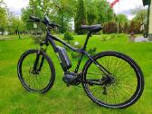 Ecoride Shimano Steps