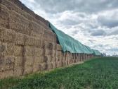 Parduodame kviečių šiaudus didelėmis kitkomis - nuotraukos Nr. 3