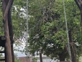 Ąžuoline lauko aikštelė ( čiuožykla, supynės) - nuotraukos Nr. 6
