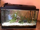 Akvariumas 60l