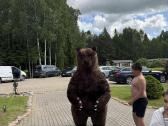 Meškos sveikinimas Telšiuose Žemaitijos meškutė - nuotraukos Nr. 9