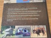 2006 m.knyga Lietuva šeimos enciklopedija - nuotraukos Nr. 6