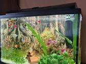 Parduodu akvariumą 75ltr.galiu ir be žuvyčių.