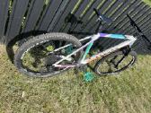 Canyon exceed CF 7 - nuotraukos Nr. 3