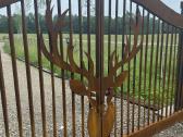 Individualus Corten plieno - nuotraukos Nr. 2