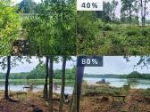 Pakrančių tvarkymas,nendrių pjovimas,šaknų rovimas - nuotraukos Nr. 16