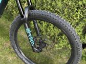 Trek 29 E MTB, bosch CX 625, M dydis - nuotraukos Nr. 3