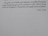 Džiaugsmo paslaptis - nuotraukos Nr. 4