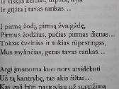 Pienių pūga - nuotraukos Nr. 6