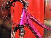 Moteriškas kalnų/MTB dviratis Romet Jolene 7.1 M - nuotraukos Nr. 6
