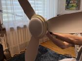 Ceiling Fan with Integrated LED Lubu Lempa