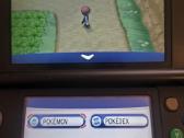 Pokemon 3ds zaidimai - nuotraukos Nr. 5