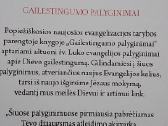 Gailestingumo palyginimai - nuotraukos Nr. 4