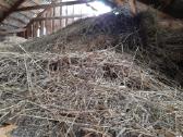 Sausas Šienas. Skubiai Primoku - nuotraukos Nr. 2