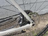 Rose backroud AL grx810 - nuotraukos Nr. 5