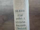 Parduodu knyga,medicinos/odontologijos atlasas1937 - nuotraukos Nr. 4