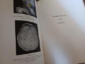 Parduodu knyga,medicinos/odontologijos atlasas1937 - nuotraukos Nr. 24