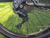 Specialized - nuotraukos Nr. 3