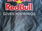 Red Bull Racing striukė - nuotraukos Nr. 3