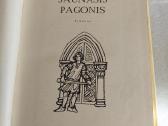 Jaunasis pagonis - nuotraukos Nr. 2