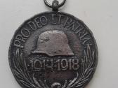 Austro-vengrijos 1914/1918m karo atminimo medalis