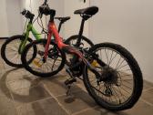 Orbea Grow 2 - nuotraukos Nr. 2