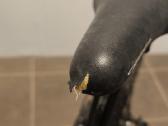 Orbea Grow 2 - nuotraukos Nr. 5