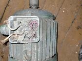 Trifazis elektros variklis 3 kw