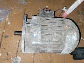 Trifazis elektros variklis 3 kw - nuotraukos Nr. 5