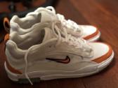 Nike SB air max