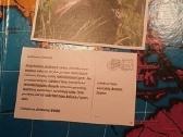 Žaidimas susijęs su pasaulio pažinimu - nuotraukos Nr. 3