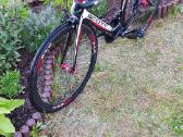 Scott Plasma Ltd 2 Carbon - nuotraukos Nr. 3
