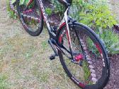 Scott Plasma Ltd 2 Carbon - nuotraukos Nr. 5
