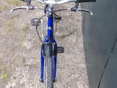 Tandemas Shimano Nexus 7- vidinės pavaros - nuotraukos Nr. 7