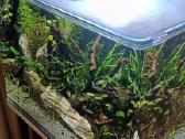Fluval nano LED - nuotraukos Nr. 4