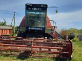 Dronningborg 7200