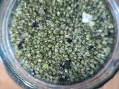 4kg juodi akvariumo grunto akmenukai - nuotraukos Nr. 2