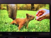 Sony Bravia Kd-55xh9505 Ultrahd/4k Androidtv Fald - nuotraukos Nr. 6