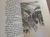 Parduodu 3t knygu,kova dėl romos,1920-1922m - nuotraukos Nr. 8