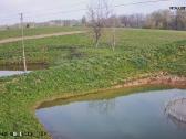 Parduodu namą su žeme